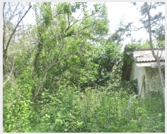  2025Ÿ32787   ε 221-2       (Ӿ)