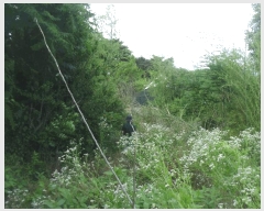  2025Ÿ32787   ε 221-2       (Ӿ)