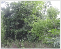  2025Ÿ32787   ε 221-2       (Ӿ)