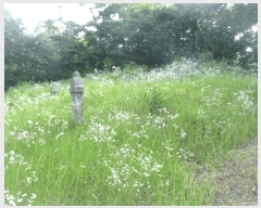  2025Ÿ32787   ε 221-2       (Ӿ)