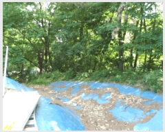  2025Ÿ32810   ȣ 130-2       (Ӿ)