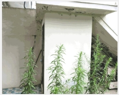  2025Ÿ��32842 ���� ���� ȭ���� 831-15       ���ð��