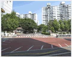  2025Ÿ32862  ϱ ϵ 1033 ȣƮ 6 4406ȣ    Ʈ