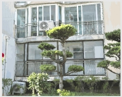  2025Ÿ��33044 ���� �ϱ� ���ﵿ 787-1 107�� 1��106ȣ     ����Ʈ���