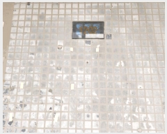  2025Ÿ��33084  ����Ʈ���