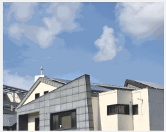  2025Ÿ��33157 ���� ���걸 ���ϵ� 1197       ���ð��