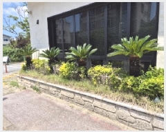  2025Ÿ��33157 ���� ���걸 ���ϵ� 1197       ���ð��