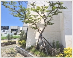  2025Ÿ��33157 ���� ���걸 ���ϵ� 1197       ���ð��