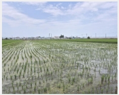  2025Ÿ��33207 ���� ���걸 ���赿 326-5       ����(��)���