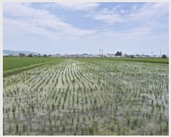  2025Ÿ��33207 ���� ���걸 ���赿 326-5       ����(��)���