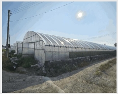  2025Ÿ��33207 ���� ���� ġ�� 1166-7 ȣ�ݾ���Ʈ 103�� 10��1006ȣ    ����Ʈ���