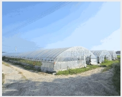  2025Ÿ��33207 ���� ���� ġ�� 1166-7 ȣ�ݾ���Ʈ 103�� 10��1006ȣ    ����Ʈ���