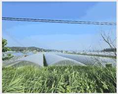  2025Ÿ��33207 ���� ���� ġ�� 1166-7 ȣ�ݾ���Ʈ 103�� 10��1006ȣ    ����Ʈ���