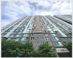  2025Ÿ��33355  ����Ʈ���