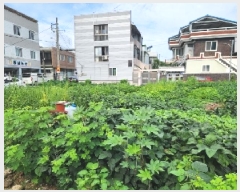  2025Ÿ��33447 ���� ���� ���굿 912-59       ����(����)���