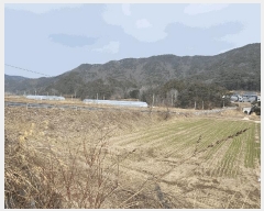  2025Ÿ1359  籺  ߿ 80-11      ()