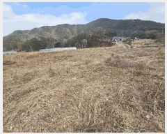  2025Ÿ1359  籺  ߿ 80-11      ()