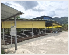  2025Ÿ2642  (󰡽ü)