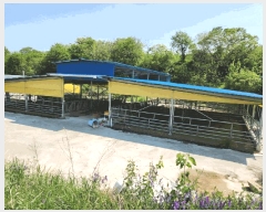  2025Ÿ2642  (󰡽ü)