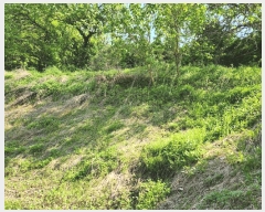  2025Ÿ2642  (󰡽ü)