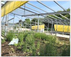  2025Ÿ2642  (󰡽ü)