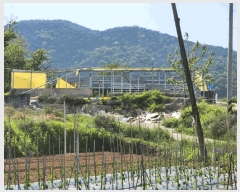  2025Ÿ2642  (󰡽ü)