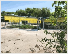  2025Ÿ2642  (󰡽ü)