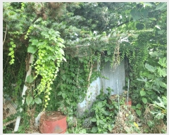  2025Ÿ3256   굿 201-94       ()