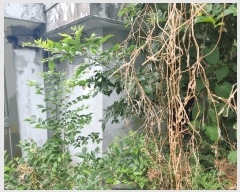  2025Ÿ3256   굿 201-94       ()