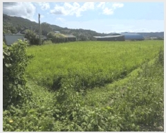  2025Ÿ��5283  ����