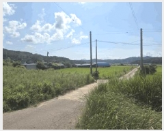  2025Ÿ��5283  ����