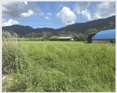  2025Ÿ��5283  ����