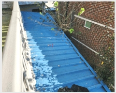  2025Ÿ��5948 ���� ���� ���� 46-18       �ܵ�����,�����ð��