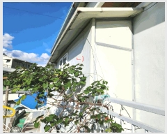  2025Ÿ��5948 ���� ���� ���� 46-18       �ܵ�����,�����ð��