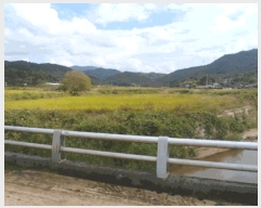  2025Ÿ��6040 ���� ��� ��� ������ 287-3      ����(��)���