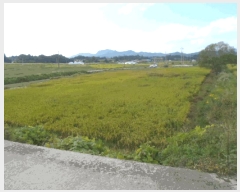  2025Ÿ��6040 ���� ��� ��� ������ 287-3      ����(��)���