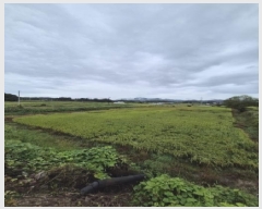  2025Ÿ��6040 ���� ��� ��� ������ 287-3      ����(��)���