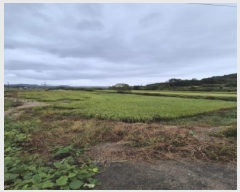  2025Ÿ��6040 ���� ��� ��� ������ 287-3      ����(��)���