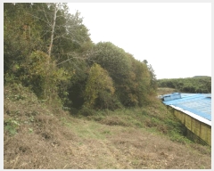  2025Ÿ��6811  ����