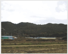  2025Ÿ��6811  ����