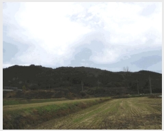  2025Ÿ��6811  ����