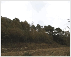  2025Ÿ��6811  ����