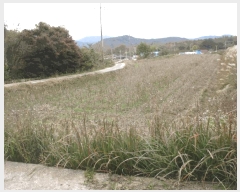  2025Ÿ��6811  ����