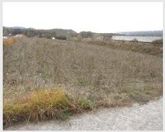  2025Ÿ��6811  ����