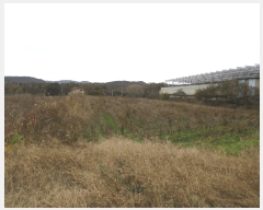  2025Ÿ��6811  ����