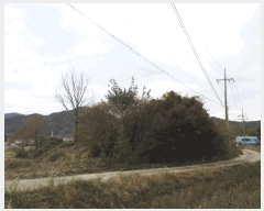  2025Ÿ��6811  ����