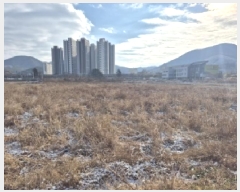  2025Ÿ��7036  ����