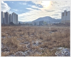  2025Ÿ��7036  ����