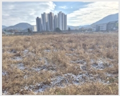  2025Ÿ��7036  ����