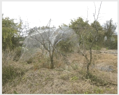  2025Ÿ��7203 ���� ���ֽ� ������ ������ 918-4      ����(��1)���